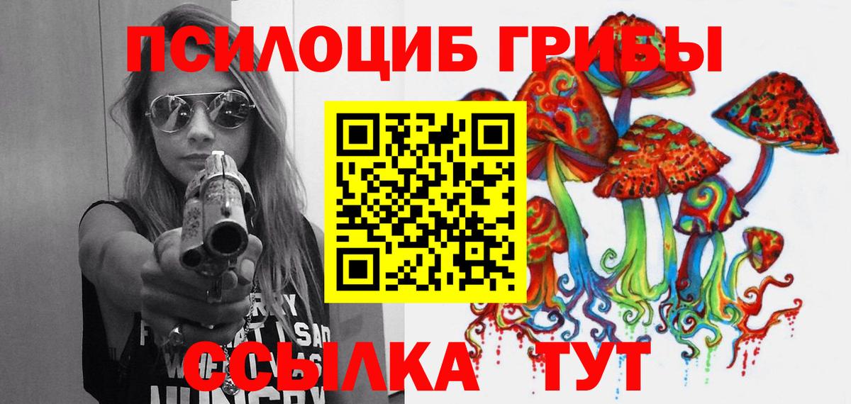 Псилоцибиновые грибы GOLDEN TEACHER Иваново