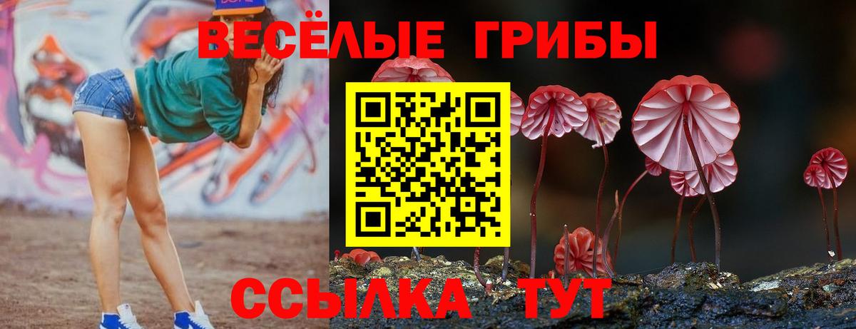Галлюциногенные грибы Psilocybine cubensis  Вход с VPN  Иваново  Псилоцибиновые грибы ЛСД 